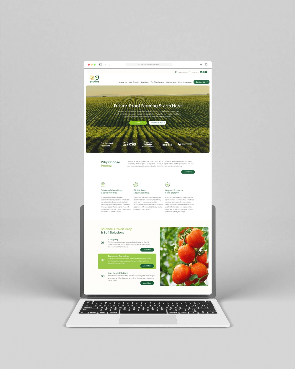prodox website